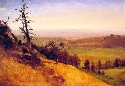 Albert Bierstadt Newbraska Wasatch Mountains oil painting reproduction